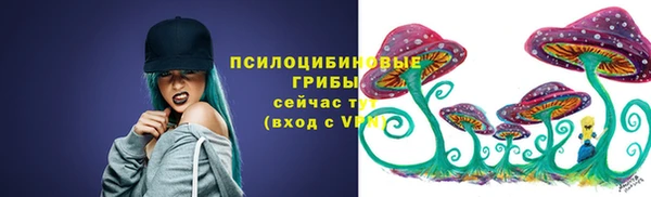 крисы Беломорск