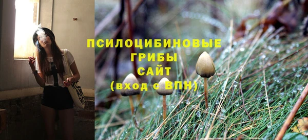 крисы Беломорск