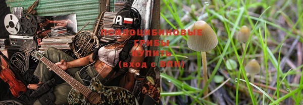метамфетамин Белокуриха